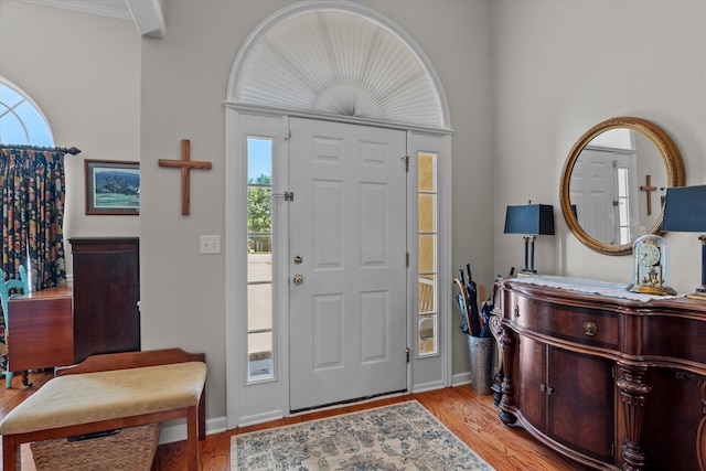721 Spalding Ct, Martinez, GA 30907 - foyer entrance with plenty of natural light, baseboards, and light wood-type flooring