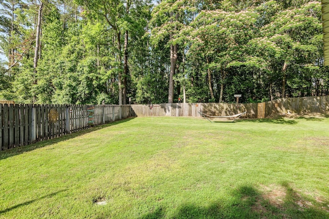 721 Spalding Ct, Martinez, GA 30907 - view of yard