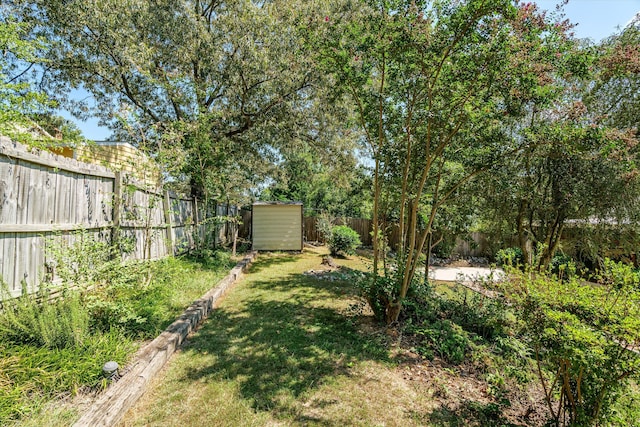 view of yard with a storage shed