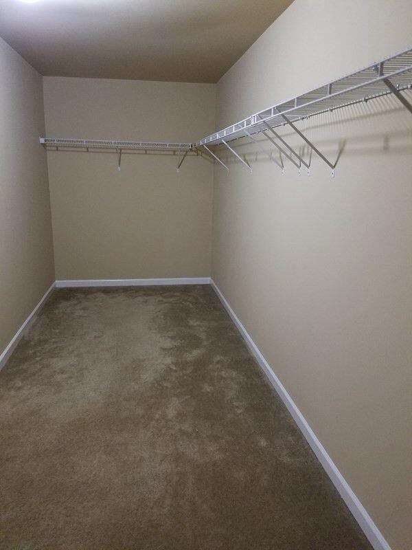 walk in closet featuring dark colored carpet