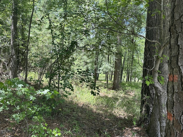 1126 Sunset Cv, Tignall, GA 30668