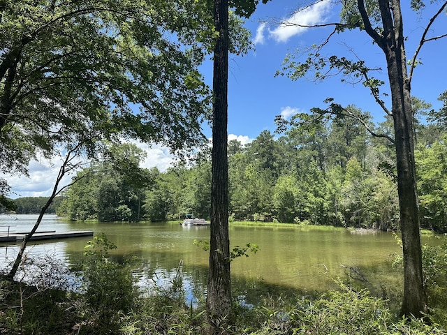1126 Sunset Cv, Tignall, GA 30668