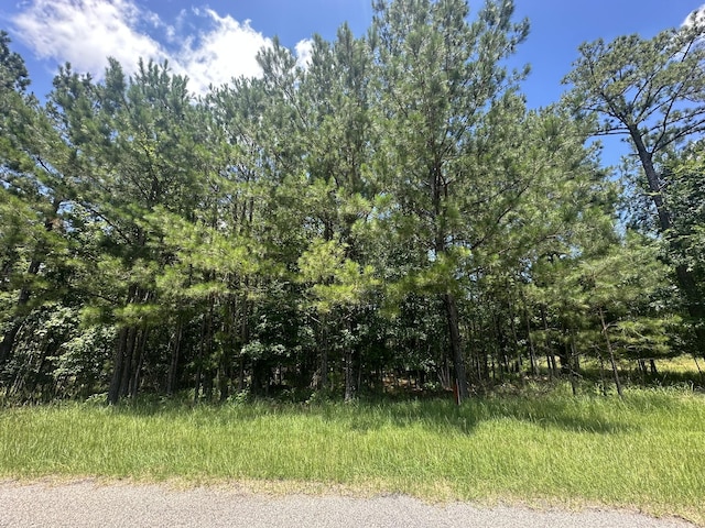 1126 Sunset Cv, Tignall, GA 30668