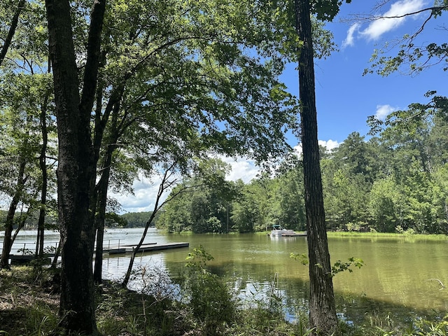 1126 Sunset Cv, Tignall, GA 30668