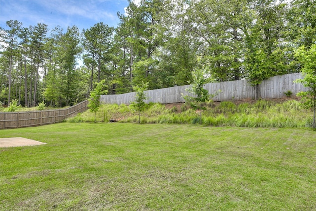 6093 Whitewater Dr, North Augusta, SC 29841 - view of yard