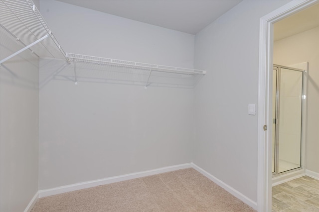 6093 Whitewater Dr, North Augusta, SC 29841 - spacious closet with light carpet