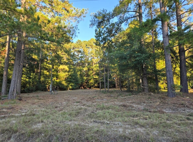 00 Jackson Rd, Jackson SC, 29831 land for sale