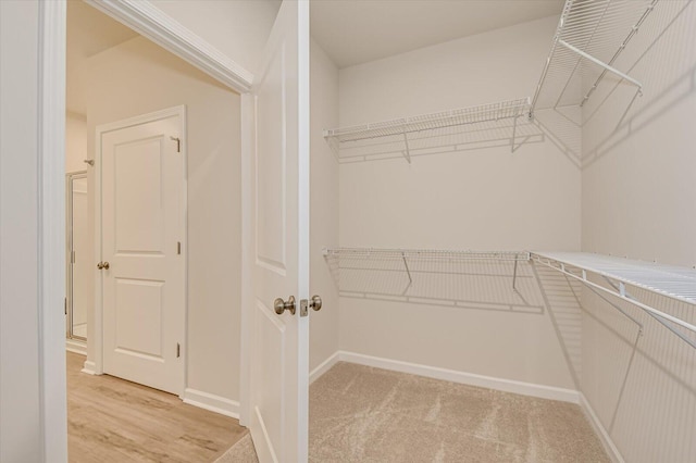 spacious closet with light carpet