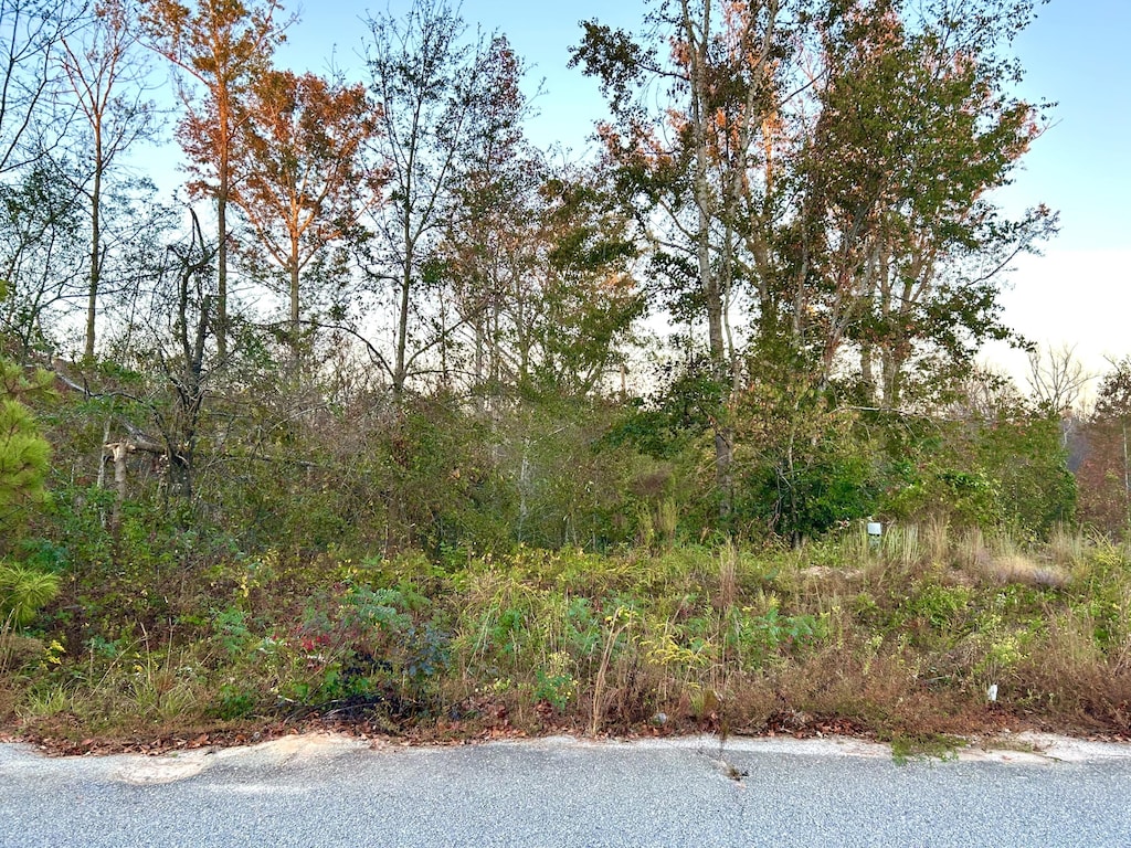 2648 New Hope Cir, Hephzibah, GA 30815