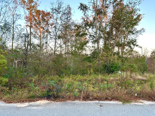 2648 New Hope Cir, Hephzibah, GA 30815