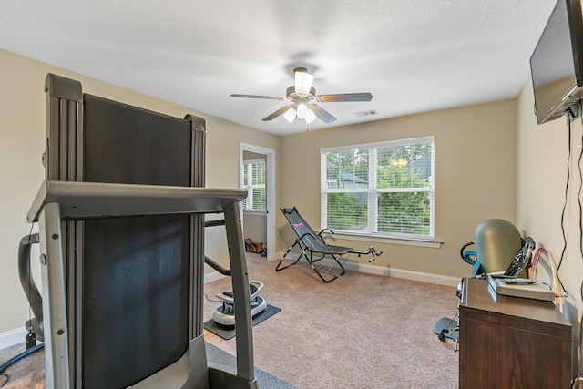 5726 Whispering Pines Way, Evans, GA 30809 - workout room featuring light carpet and ceiling fan