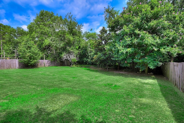 198 Eagle Lake Rd, North Augusta, SC 29841 - view of fenced backyard