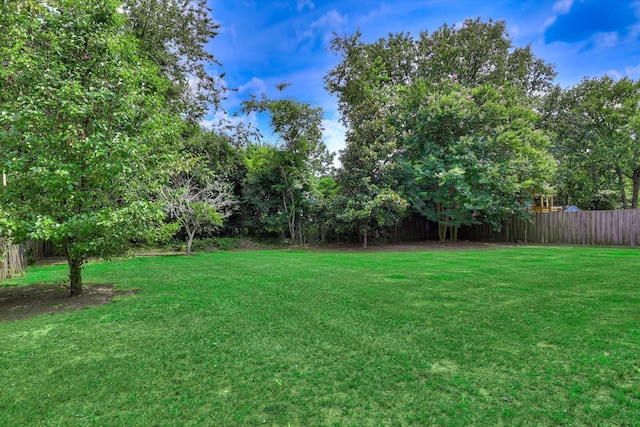 198 Eagle Lake Rd, North Augusta, SC 29841 - view of yard