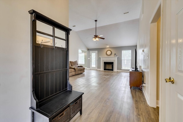 198 Eagle Lake Rd, North Augusta, SC 29841 - mudroom with ceiling fan, lofted ceiling, wood finished floors, and a fireplace