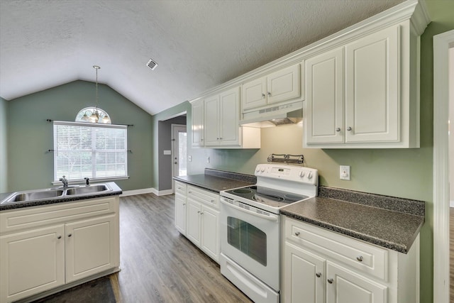 198 Eagle Lake Rd, North Augusta, SC 29841 - kitchen with electric stove, under cabinet range hood, dark countertops, wood finished floors, and white cabinetry