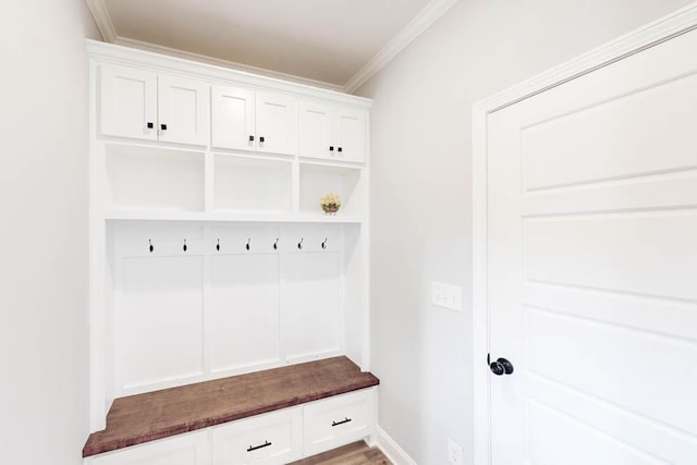 mudroom featuring ornamental molding and wood-type flooring