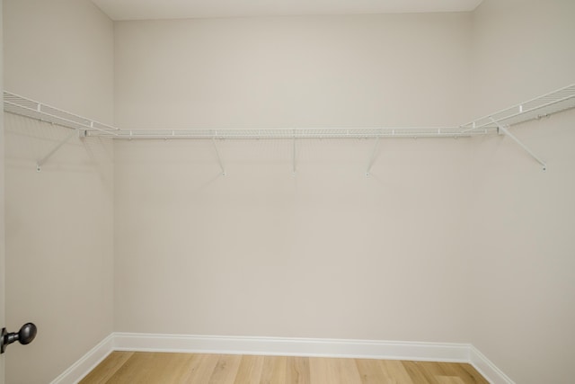 walk in closet with light wood-style flooring