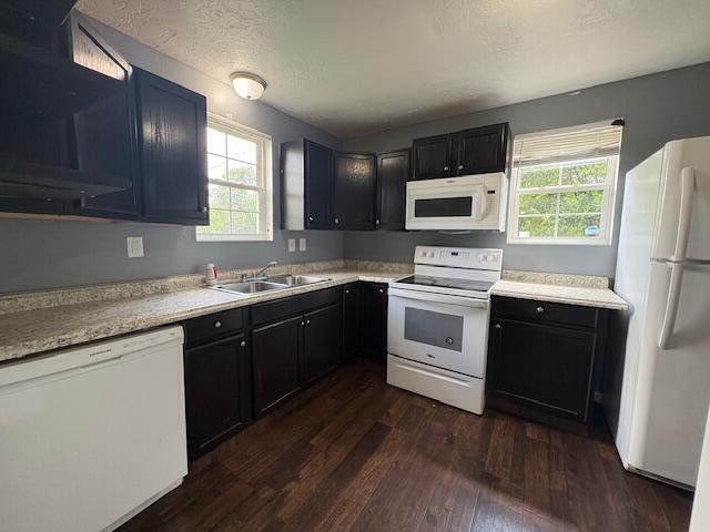 2009 Ryan Rd, Augusta, GA 30904 - kitchen with white appliances, dark wood-type flooring, healthy amount of natural light, and light countertops