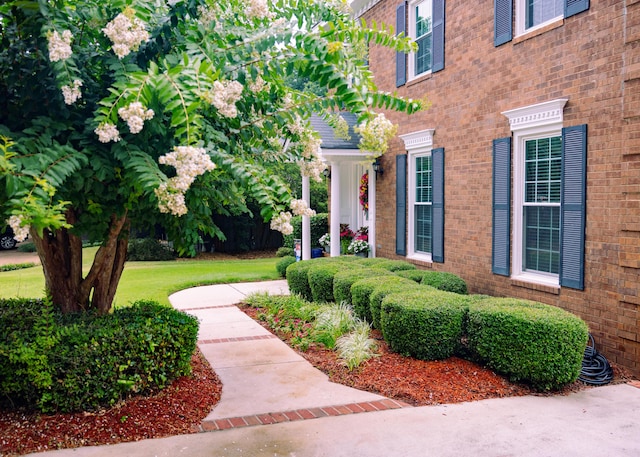 doorway to property with a lawn