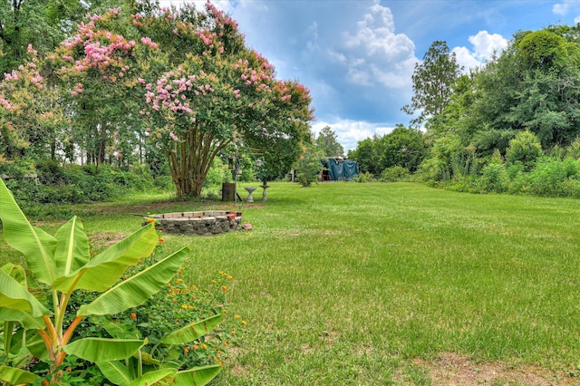 3840 Belair Rd, Augusta, GA 30909 - view of green lawn with an outdoor fire pit and view of scattered trees