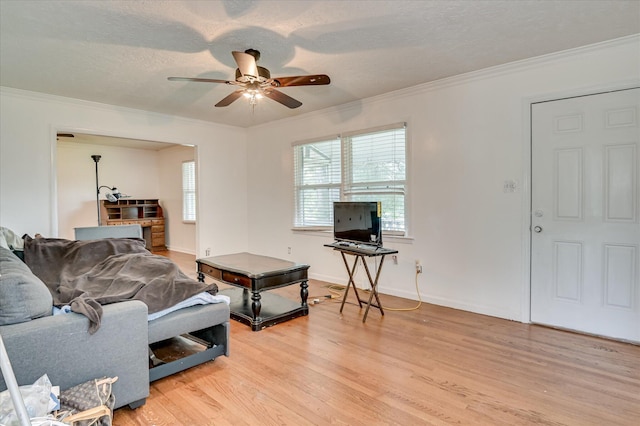 3840 Belair Rd, Augusta, GA 30909 - living room with light wood-type flooring, a ceiling fan, ornamental molding, and a textured ceiling