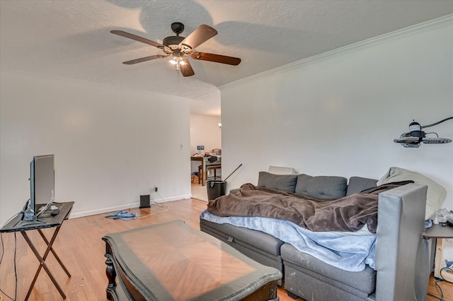 3840 Belair Rd, Augusta, GA 30909 - living area featuring ceiling fan, a textured ceiling, light wood-type flooring, and crown molding