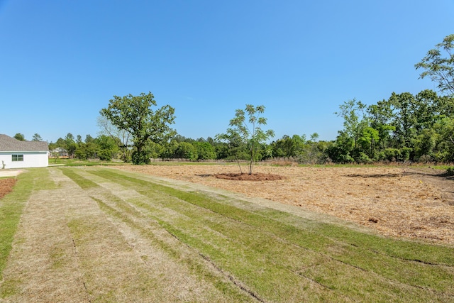 1355 Bellingham Dr, Beech Island, SC 29842 - view of yard