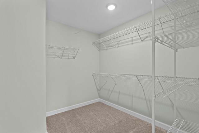 1355 Bellingham Dr, Beech Island, SC 29842 - walk in closet featuring carpet floors