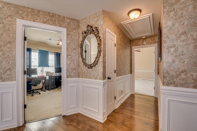 corridor with hardwood / wood-style floors