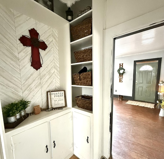 mudroom with dark wood-type flooring