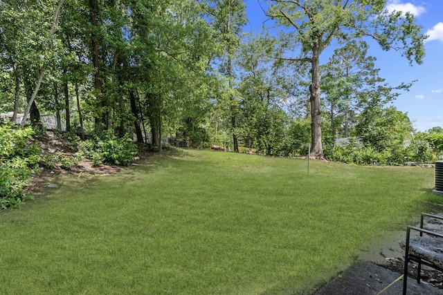 2954 Celeste Dr, Hephzibah, GA 30815 - view of green lawn