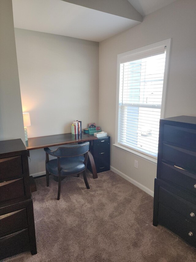 6007 Bakerville Ln, North Augusta, SC 29860 - photo 31