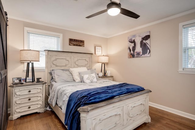 bedroom with crown molding, dark hardwood / wood-style floors, and multiple windows