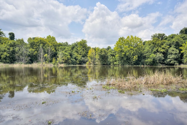 210 Rivernorth Dr, North Augusta, SC 29841 - water view featuring a forest