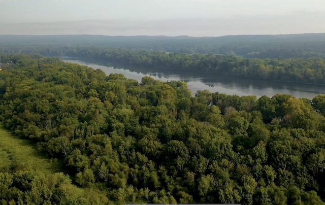 1132 Sumter Landing Cir, Evans, GA 30809 - bird's eye view of a forest and a large body of water