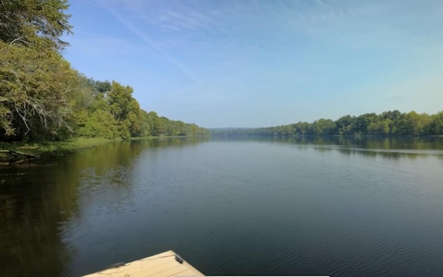 1132 Sumter Landing Cir, Evans, GA 30809 - dock featuring a water view and a view of trees