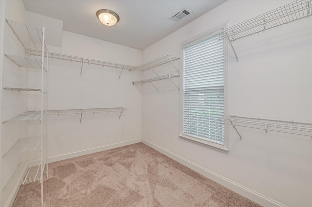 1132 Sumter Landing Cir, Evans, GA 30809 - walk in closet with carpet