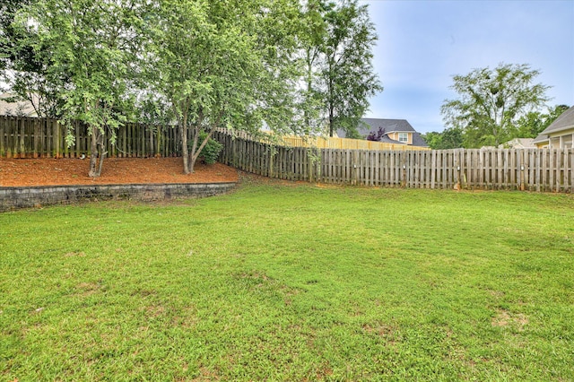 1132 Sumter Landing Cir, Evans, GA 30809 - view of yard