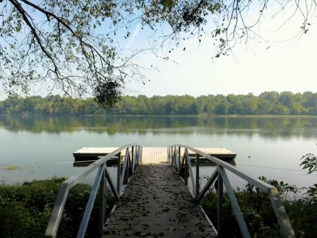 1132 Sumter Landing Cir, Evans, GA 30809 - dock with a water view and a view of trees