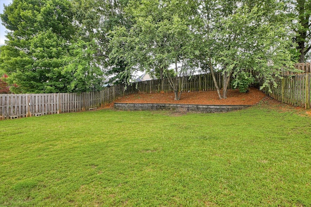 1132 Sumter Landing Cir, Evans, GA 30809 - view of yard