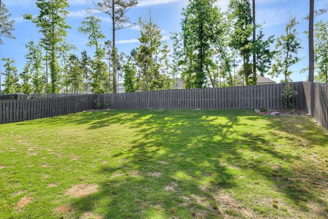 view of yard featuring a fenced backyard