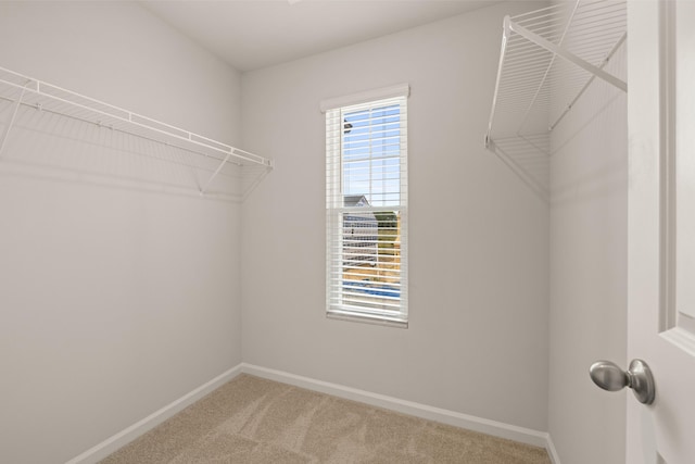 walk in closet featuring carpet flooring