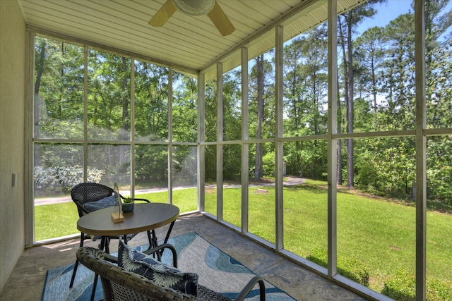 327 Peter Carnes Dr, North Augusta, SC 29860 - sunroom / solarium with a ceiling fan