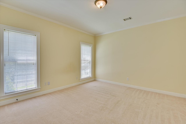 327 Peter Carnes Dr, North Augusta, SC 29860 - spare room featuring ornamental molding, healthy amount of natural light, baseboards, and light colored carpet