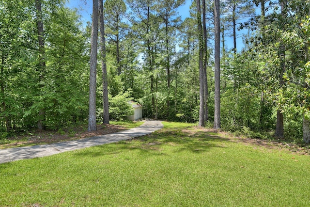 327 Peter Carnes Dr, North Augusta, SC 29860 - view of grassy yard