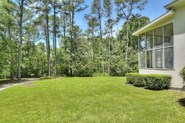 327 Peter Carnes Dr, North Augusta, SC 29860 - view of green lawn