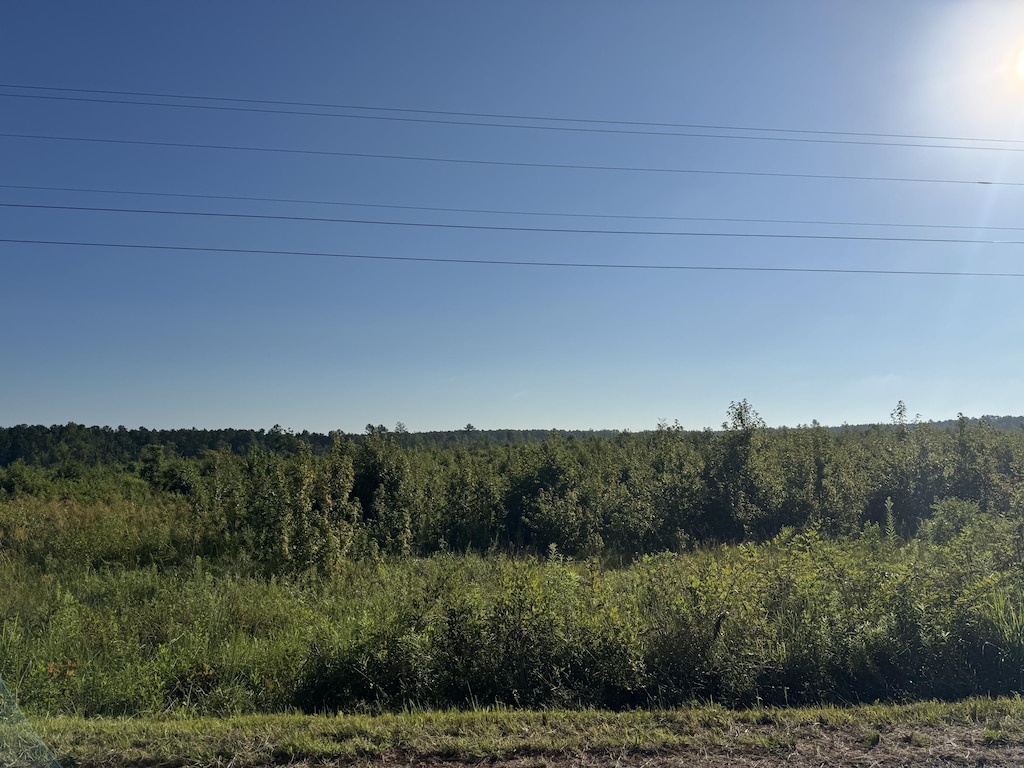 20AC Ouzts Rd, Edgefield, SC 29824 - photo 2
