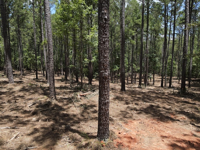 LOT6 Lighthouse Pt, Lincolnton, GA 30817 - photo 17