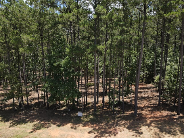 LOT6 Lighthouse Pt, Lincolnton, GA 30817 - photo 8