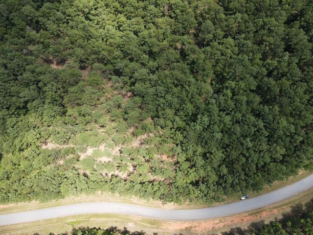 LOT6 Lighthouse Pt, Lincolnton, GA 30817 - photo 14